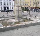 Zabytki i rzeźba